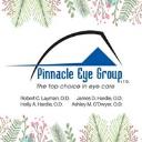  Pinnacle Eye Group logo